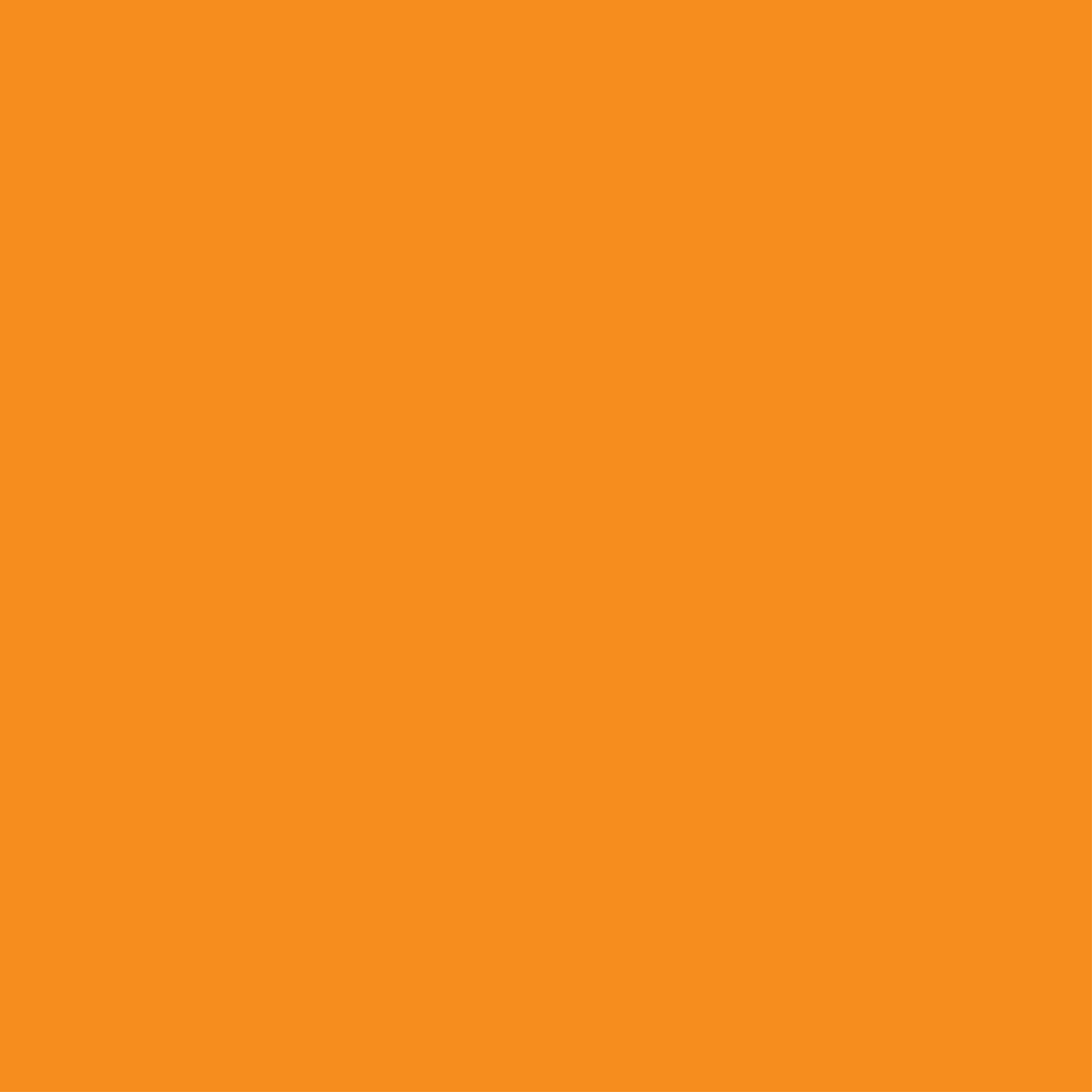 011 Slider Orange