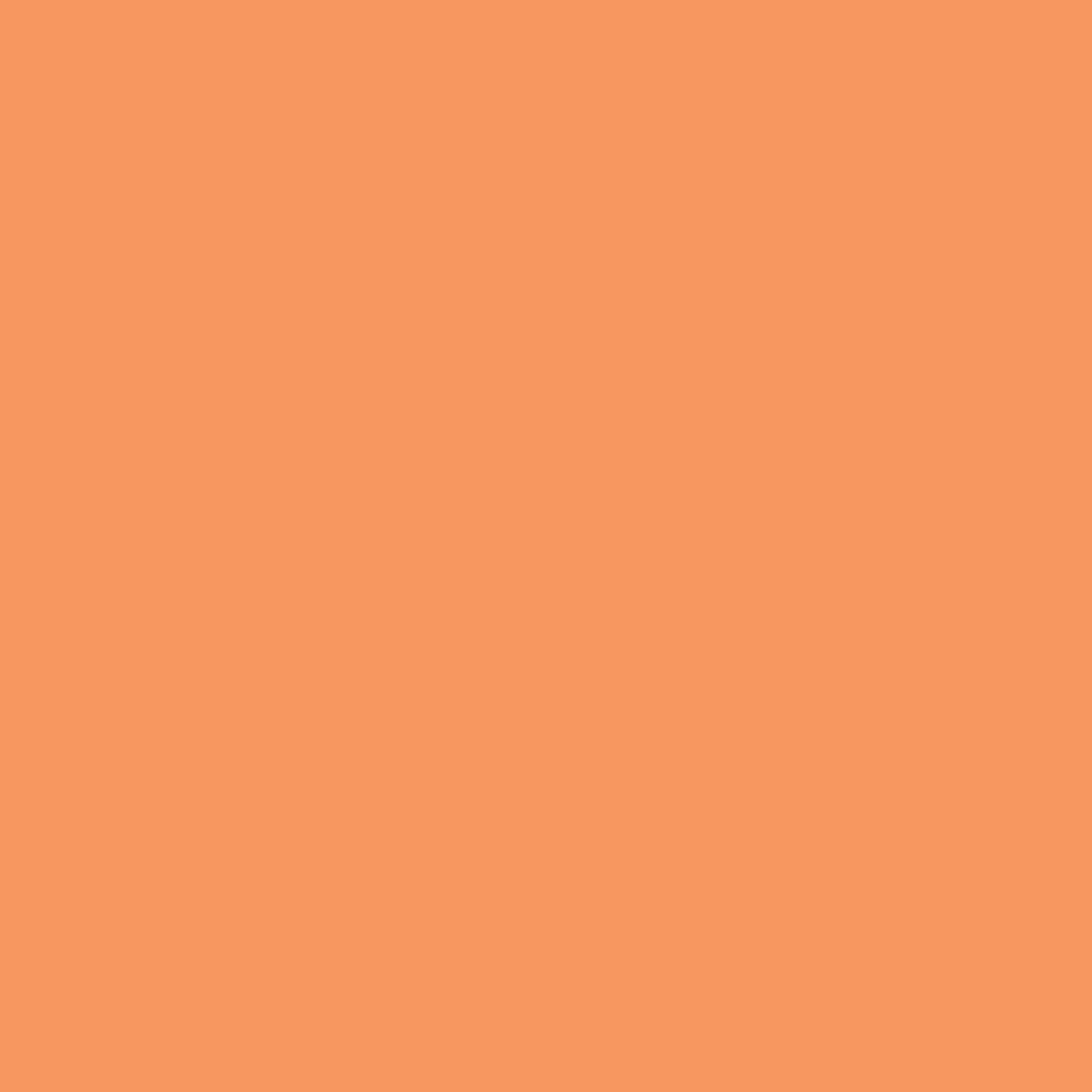 034 Apricot