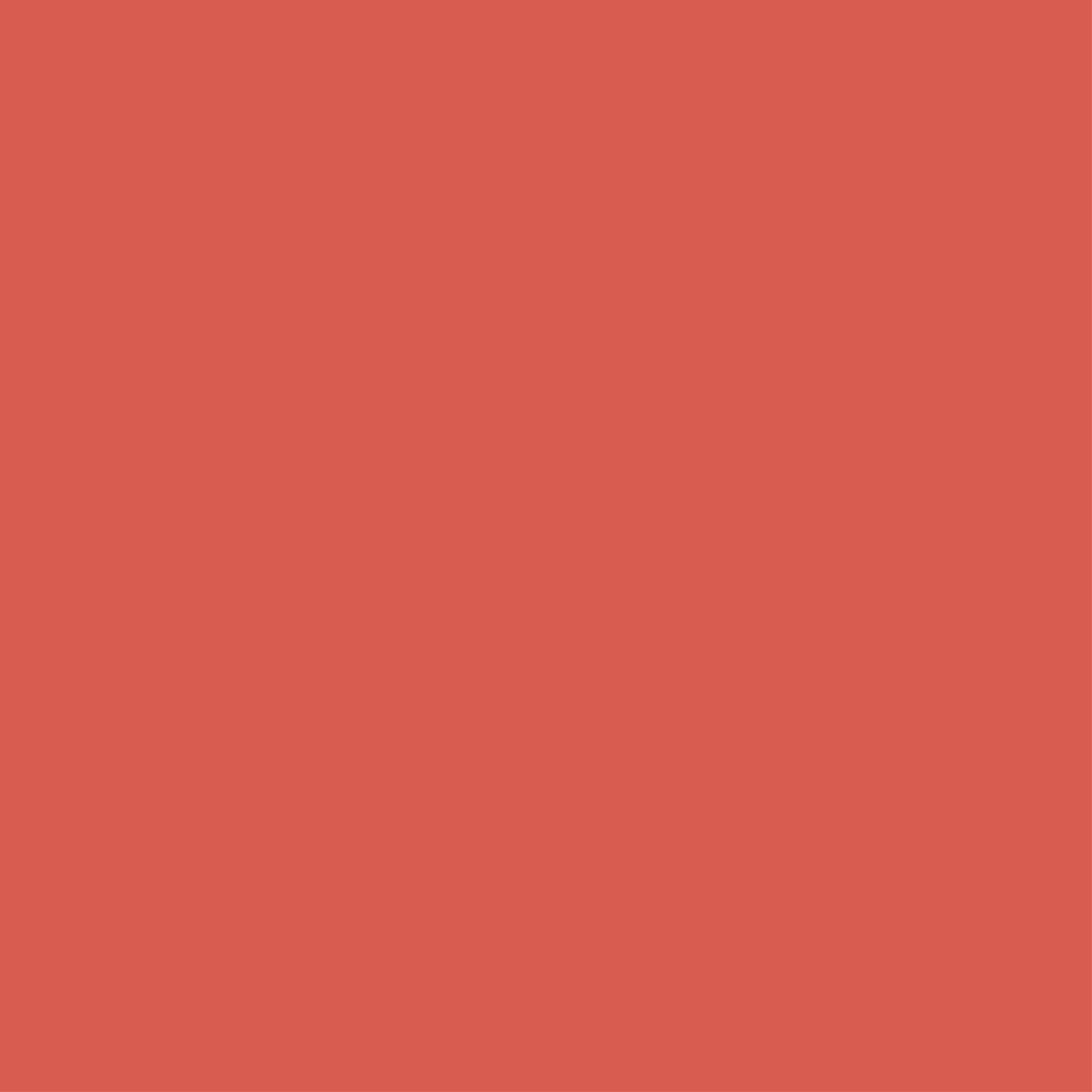 041 Strawberry