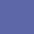 077 Viola