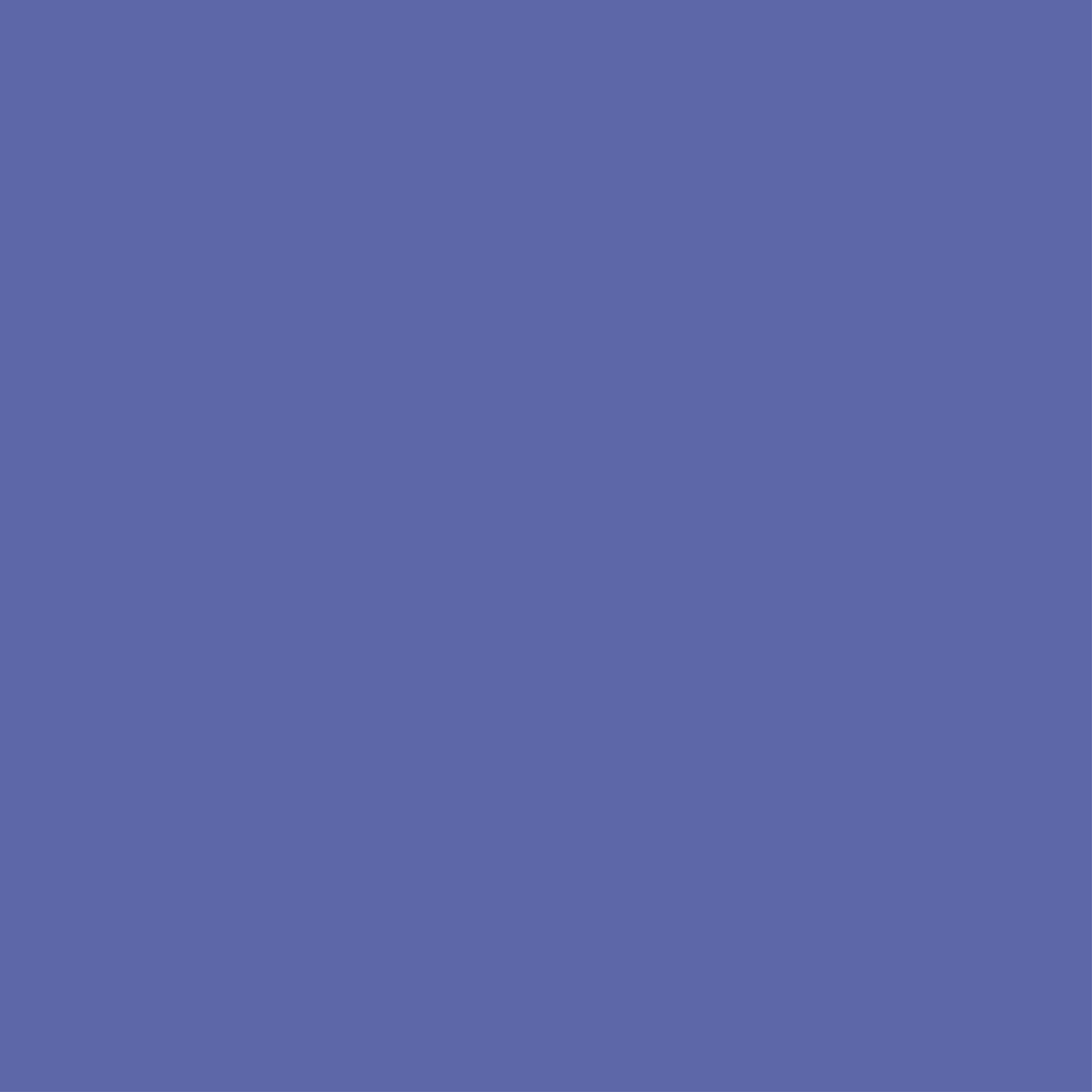 077 Viola
