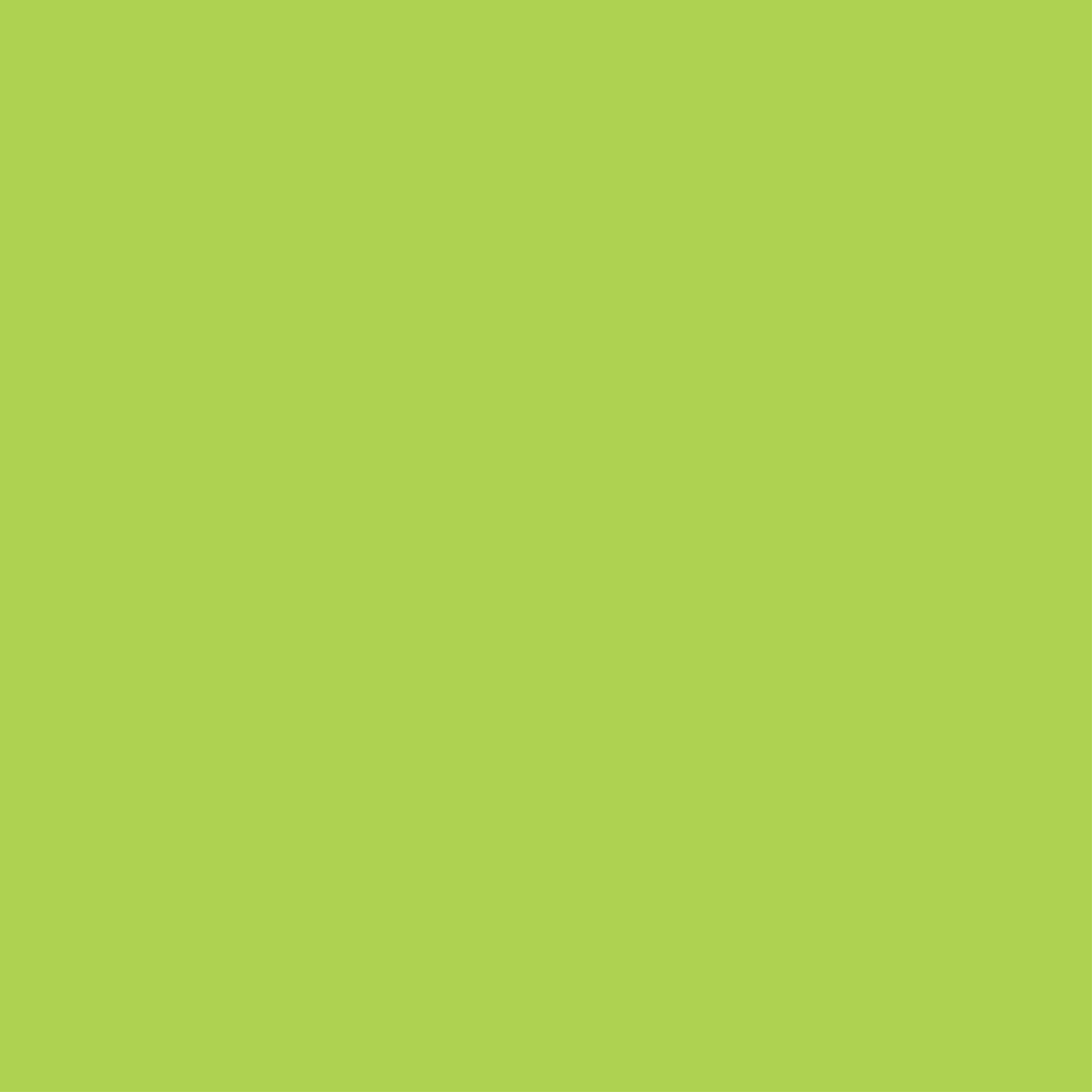 149 Kiwi Light