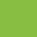 150 Kiwi