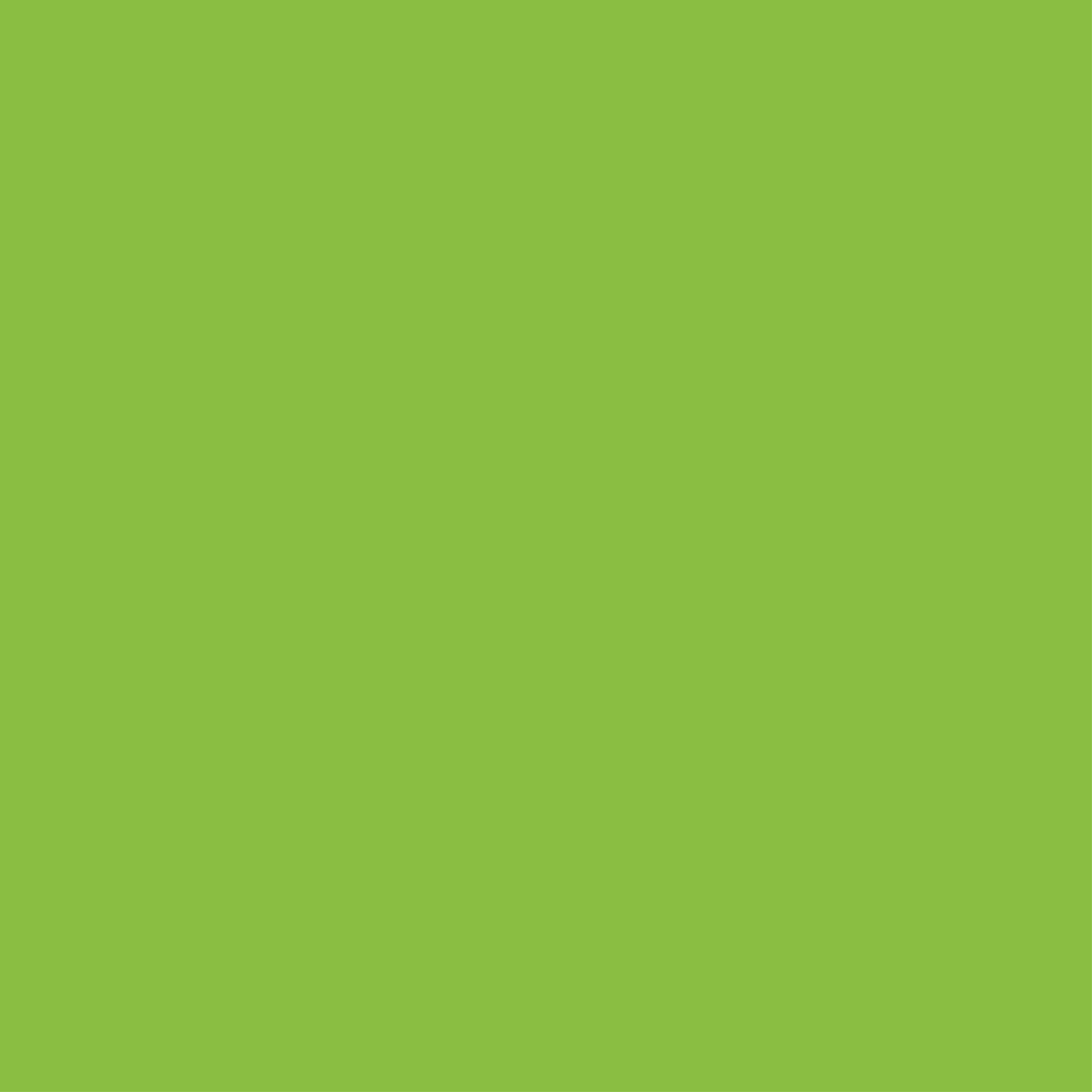 150 Kiwi