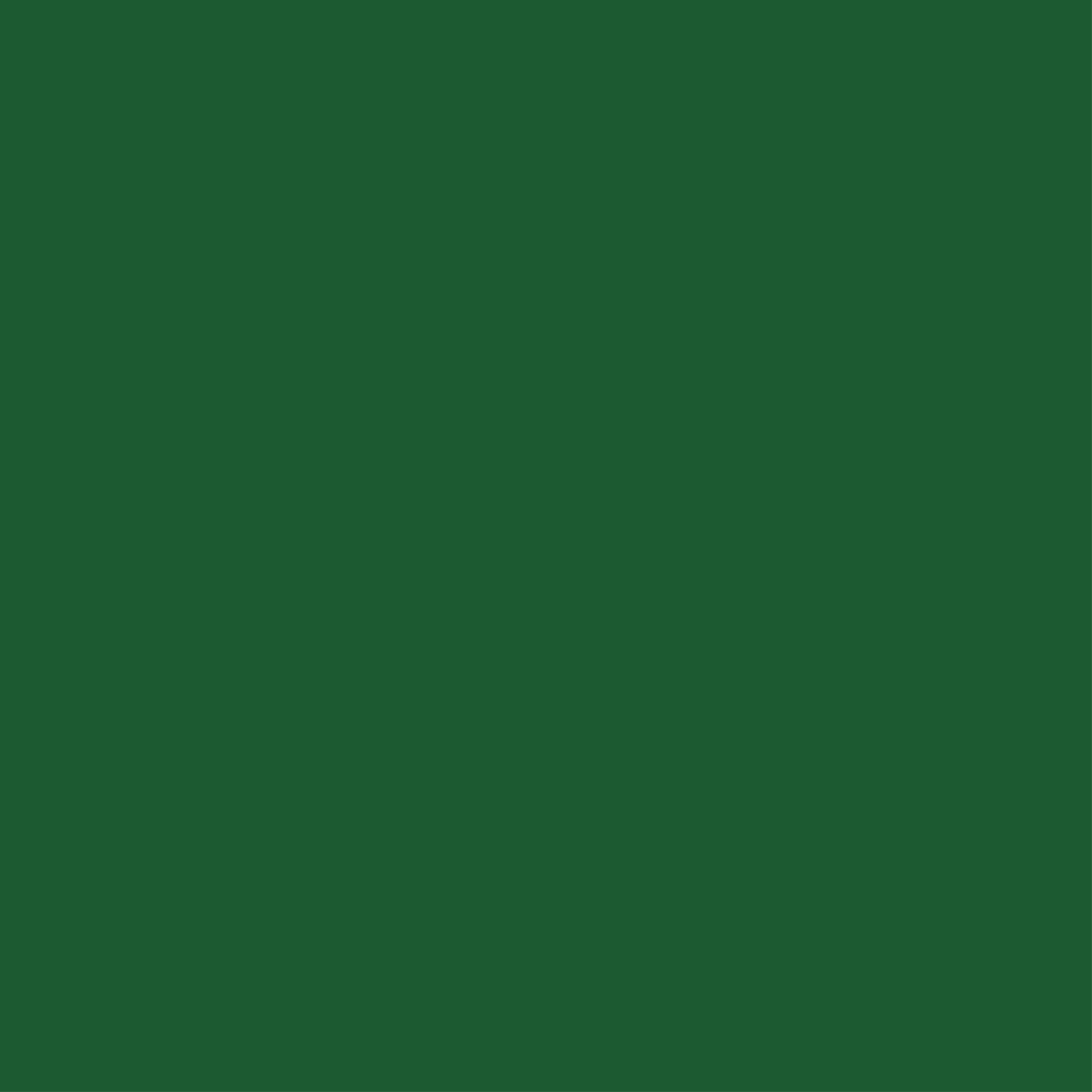161 Leaf Green