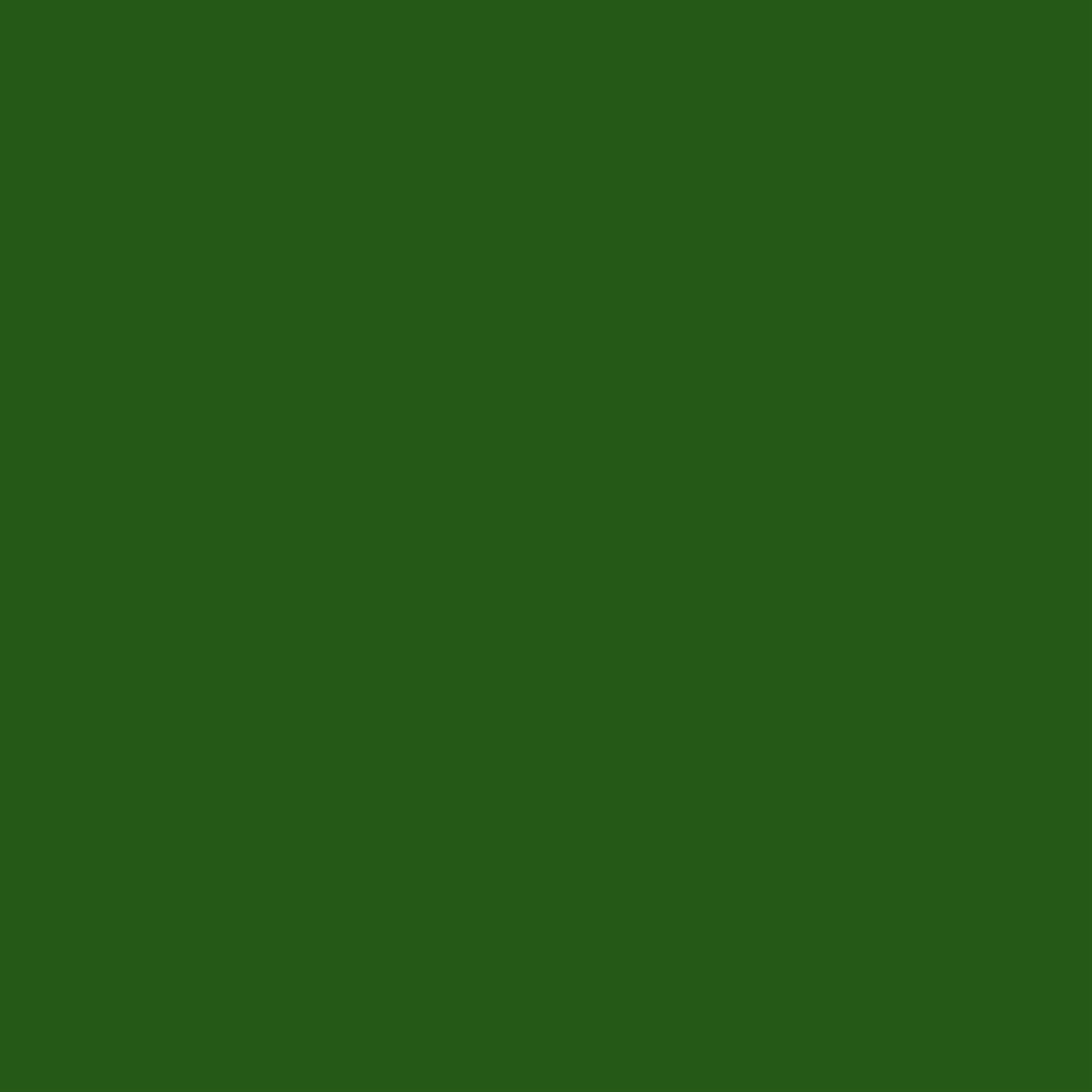 165 Moss Green