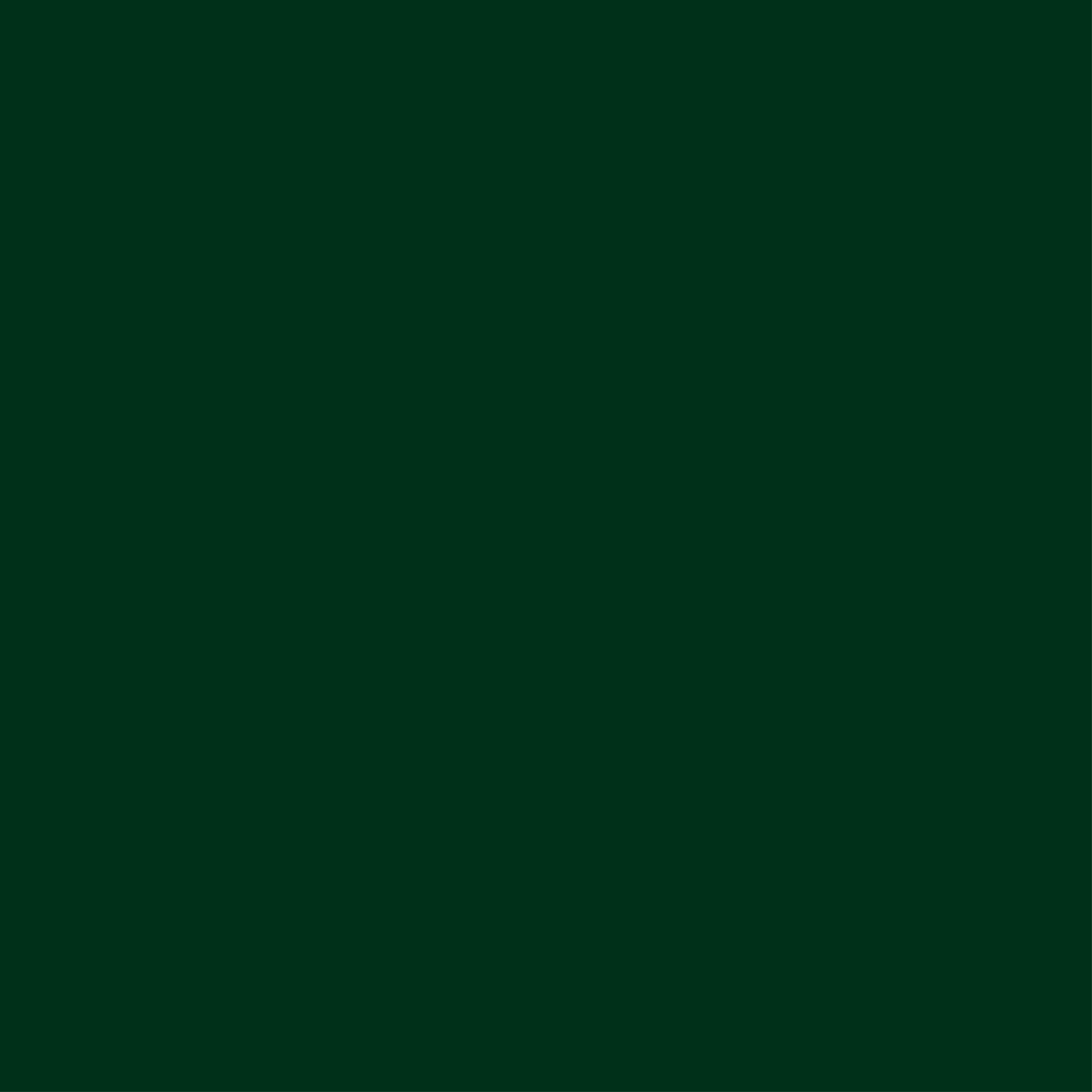 167 Green Black