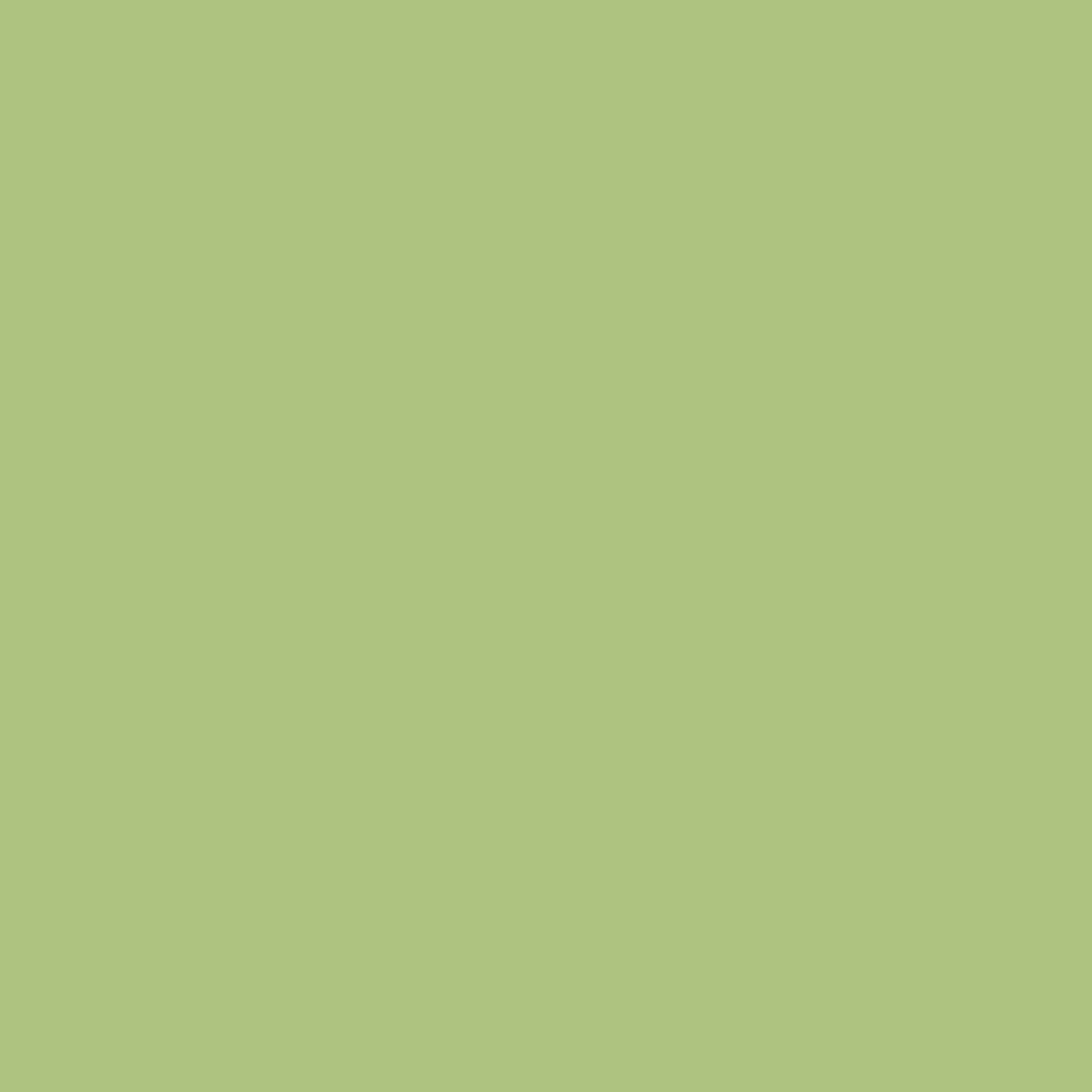 169 Green Tea