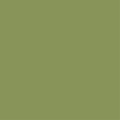 170 P JAY Green
