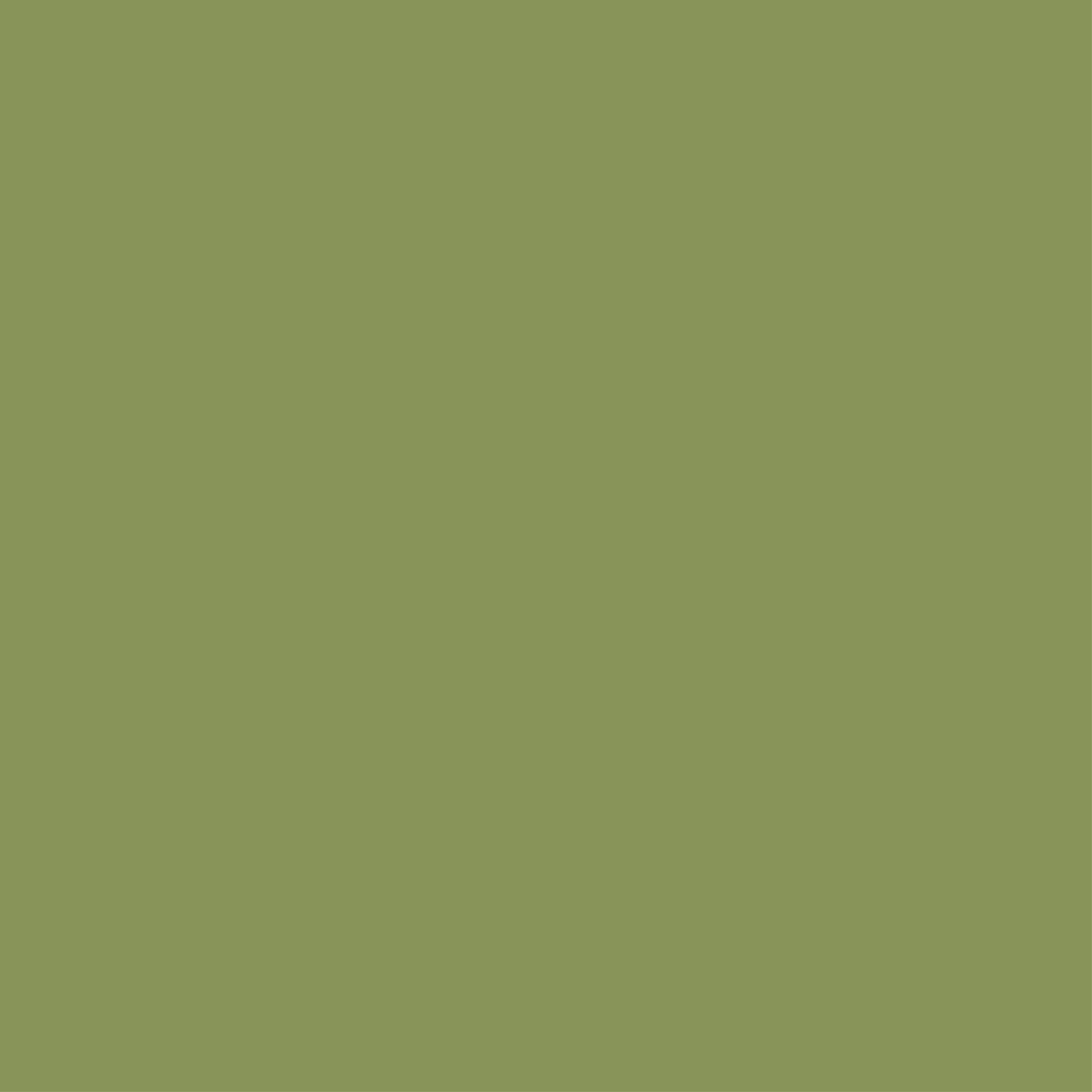 170 P JAY Green