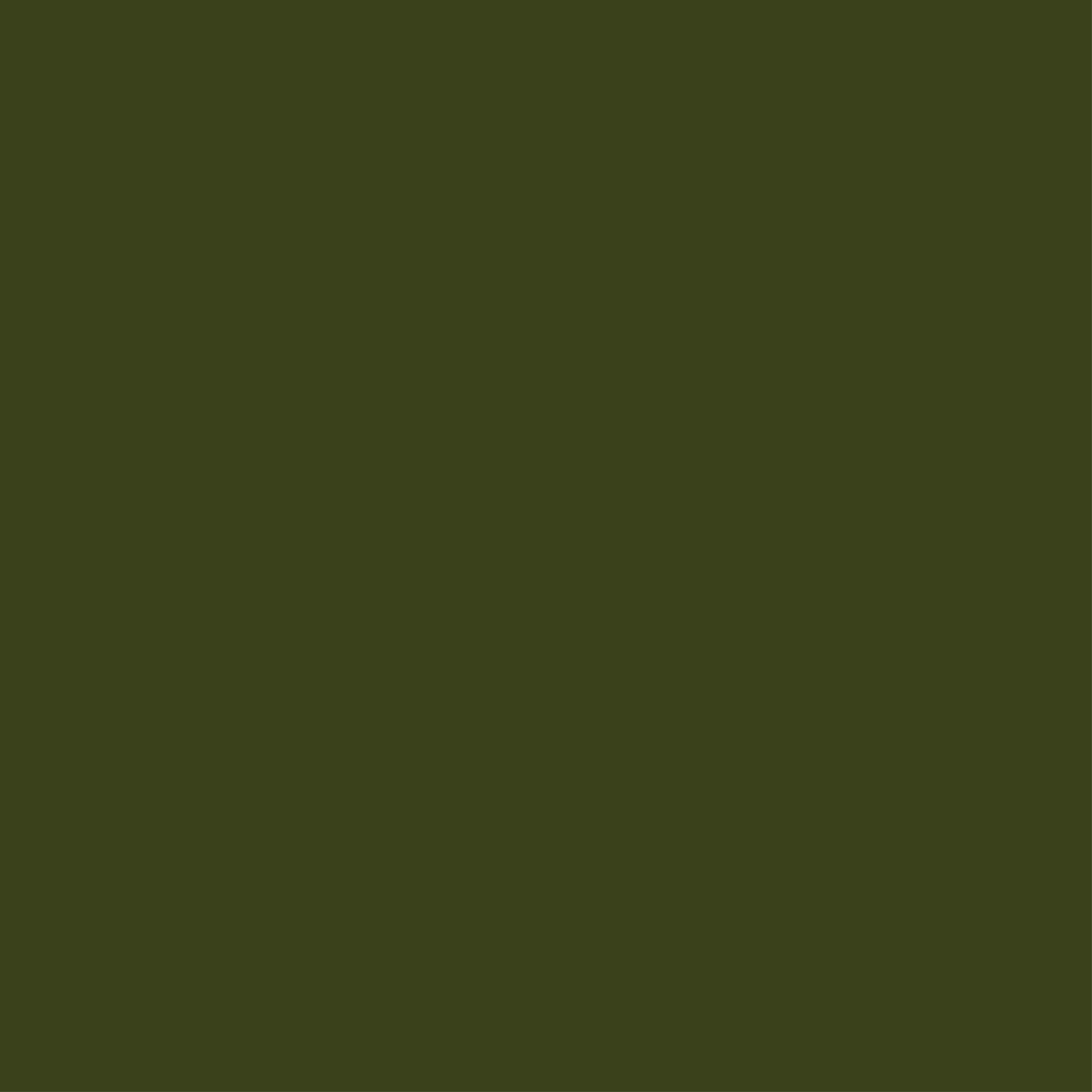 173 Evil Olive
