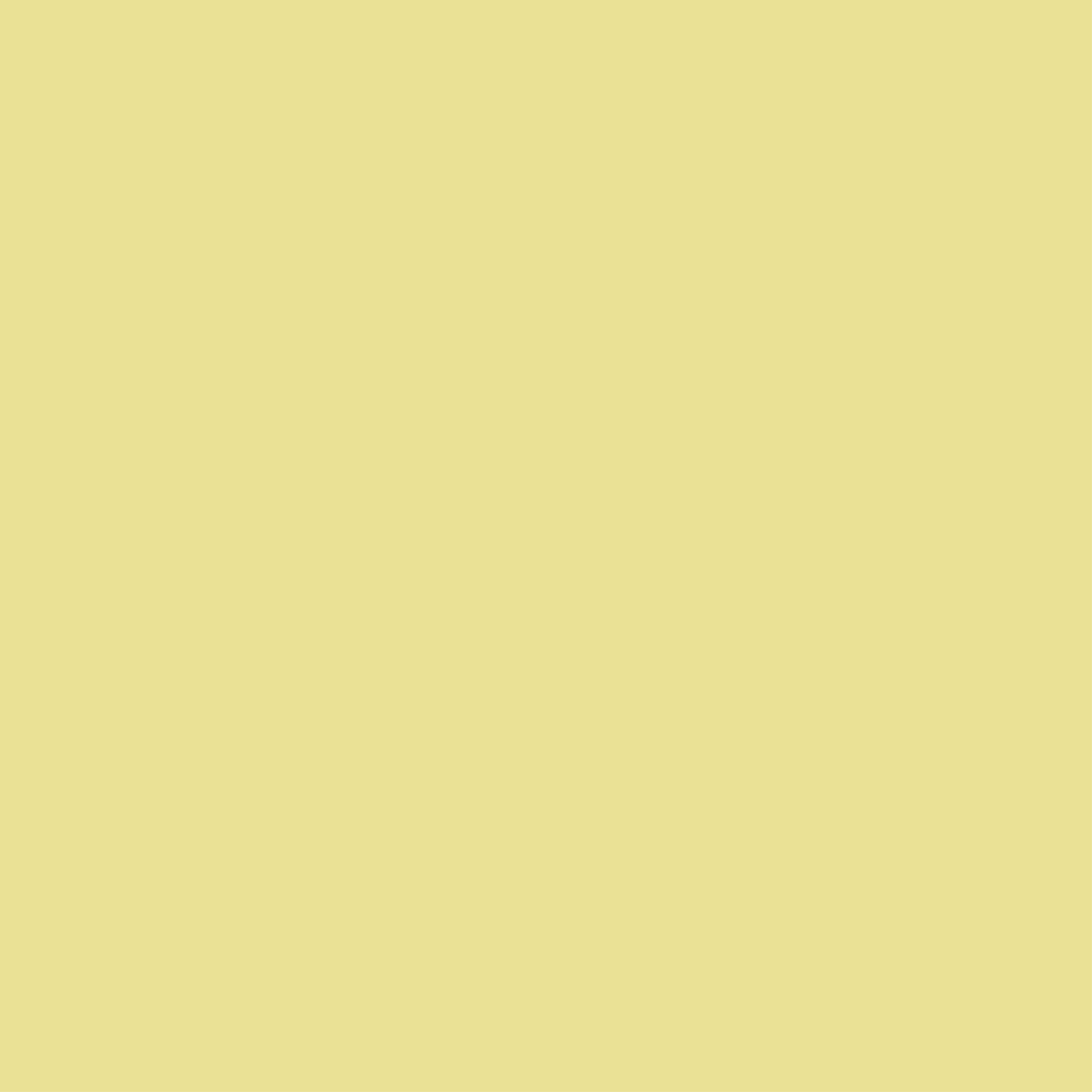 176 Sorbet Green