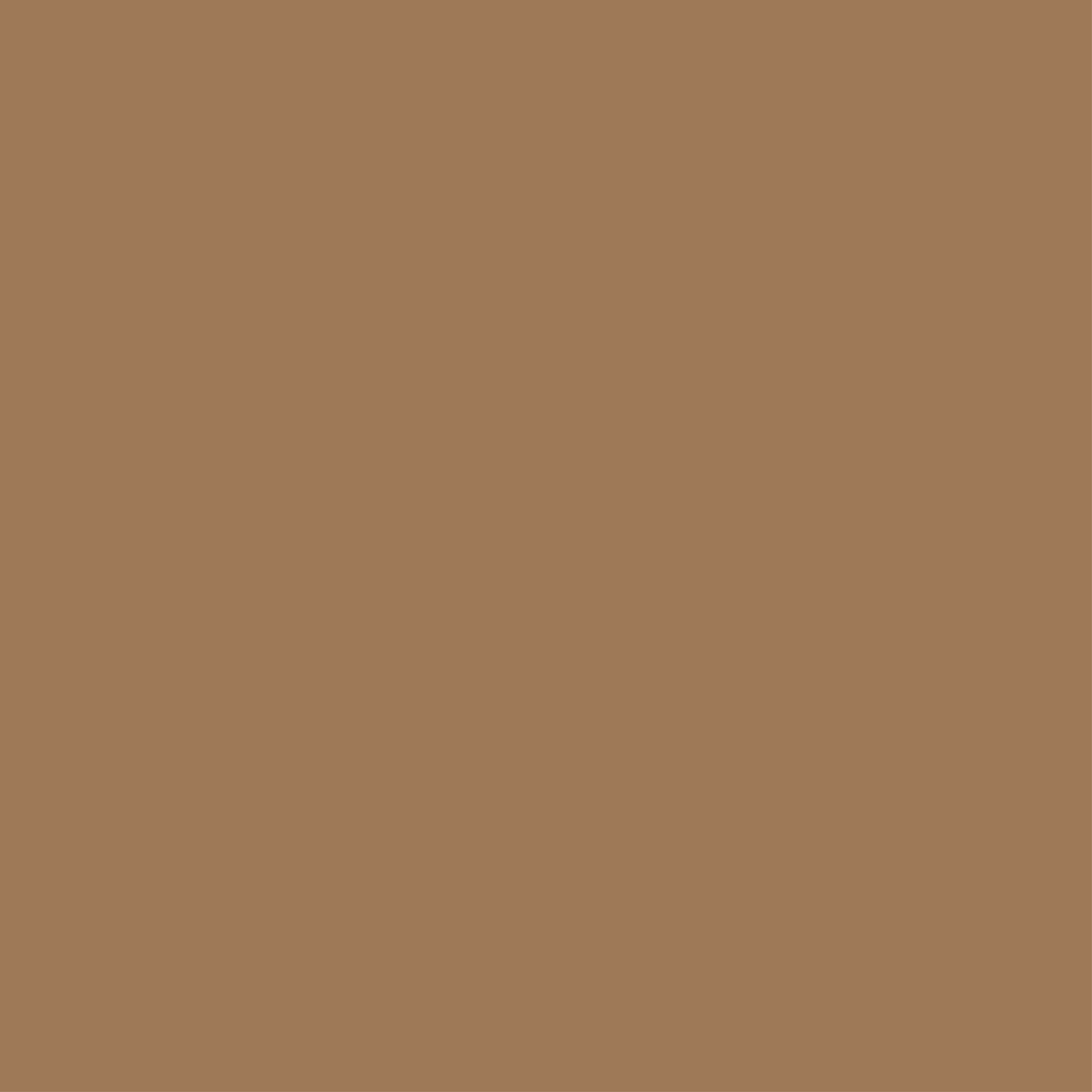 186 Cappuccino
