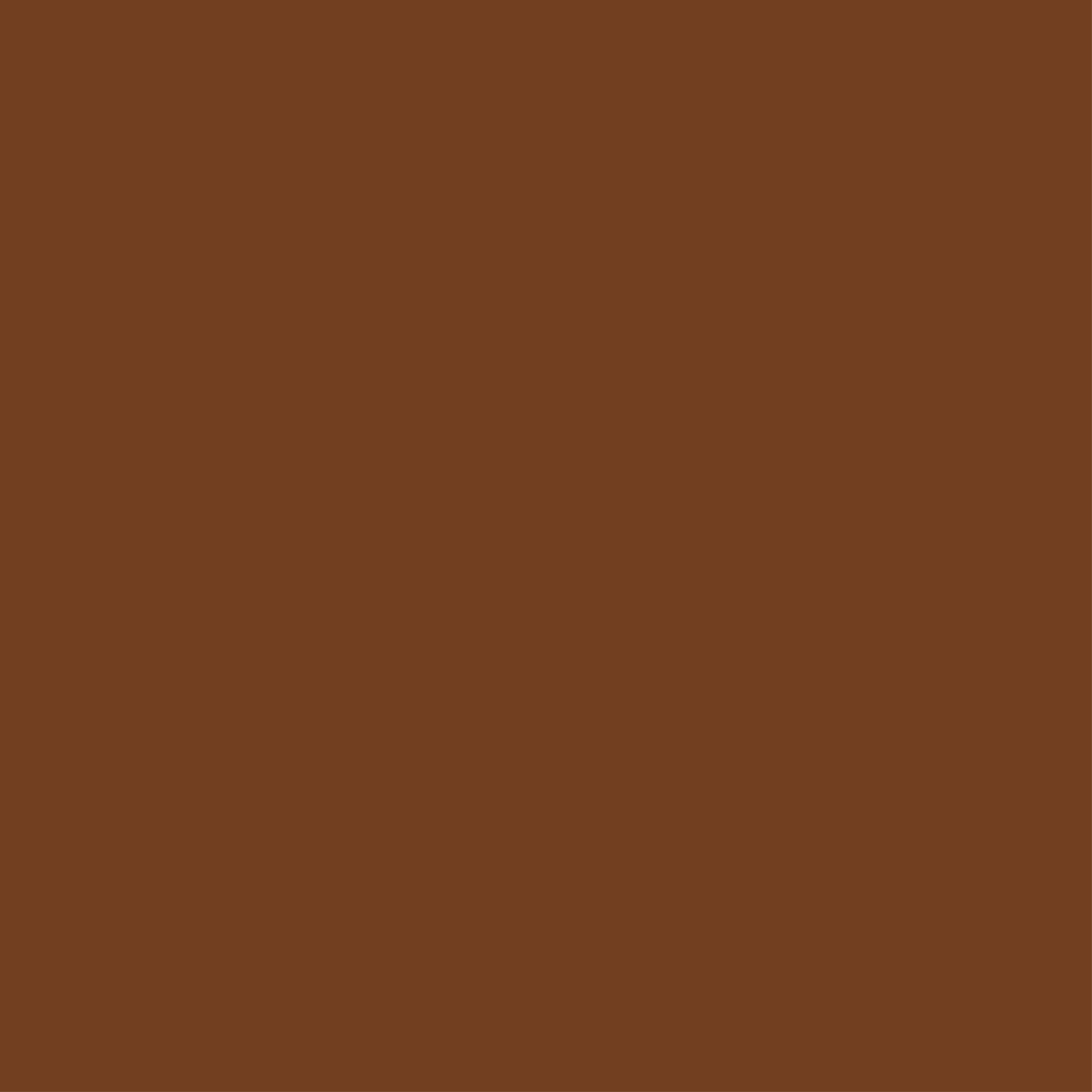 206 Walnut