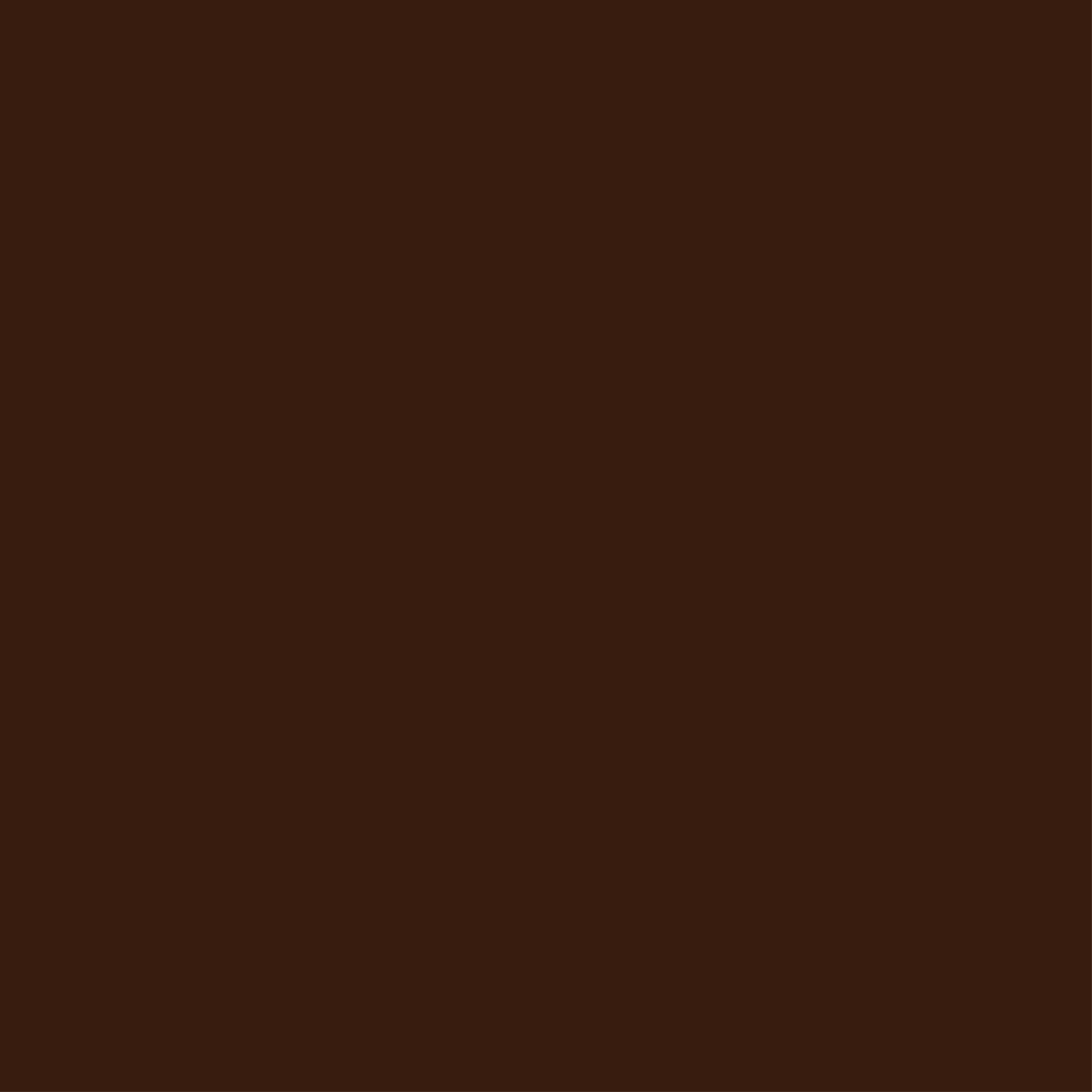 209 Dark Brown