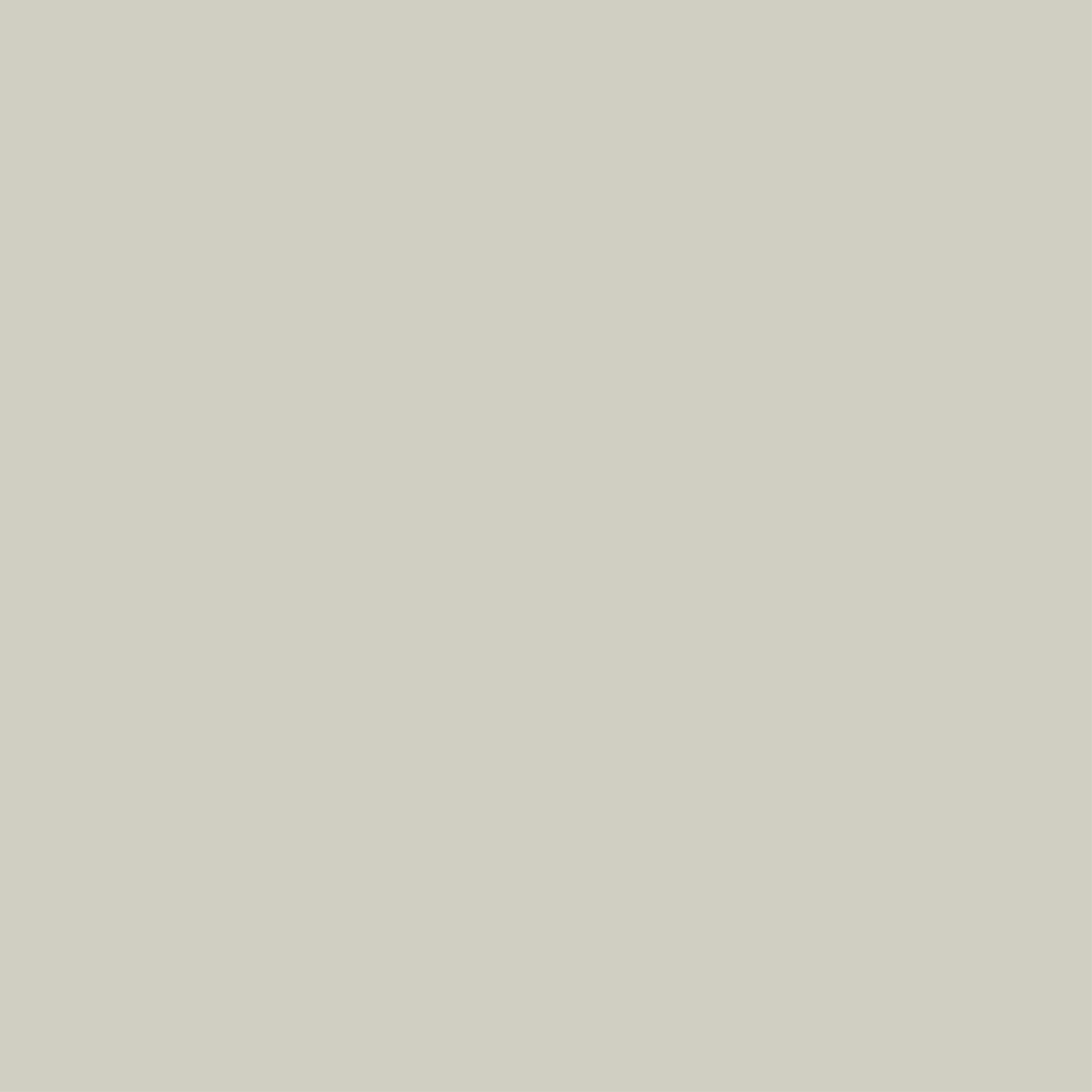 218 Light Grey Neutral