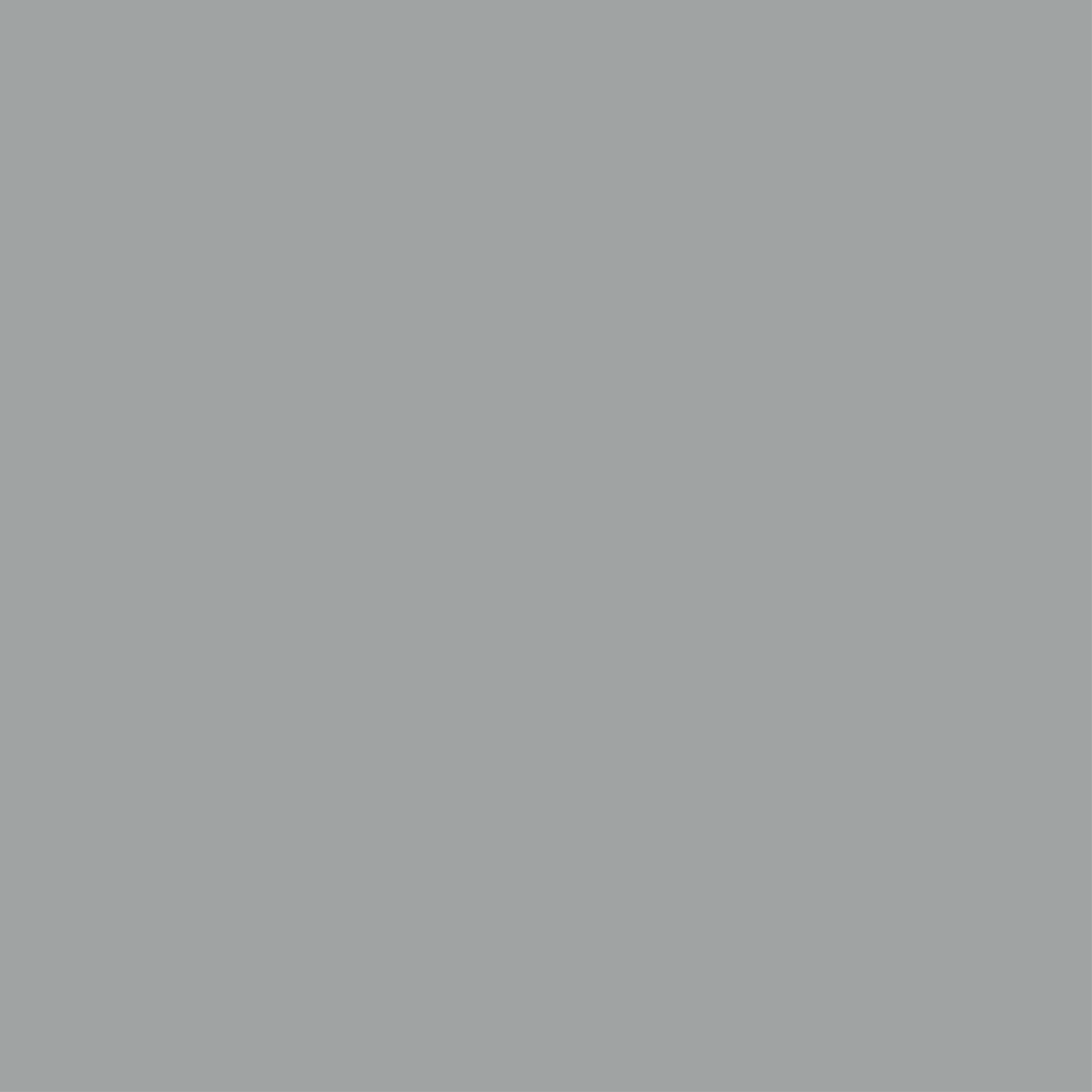 227 Rock Grey