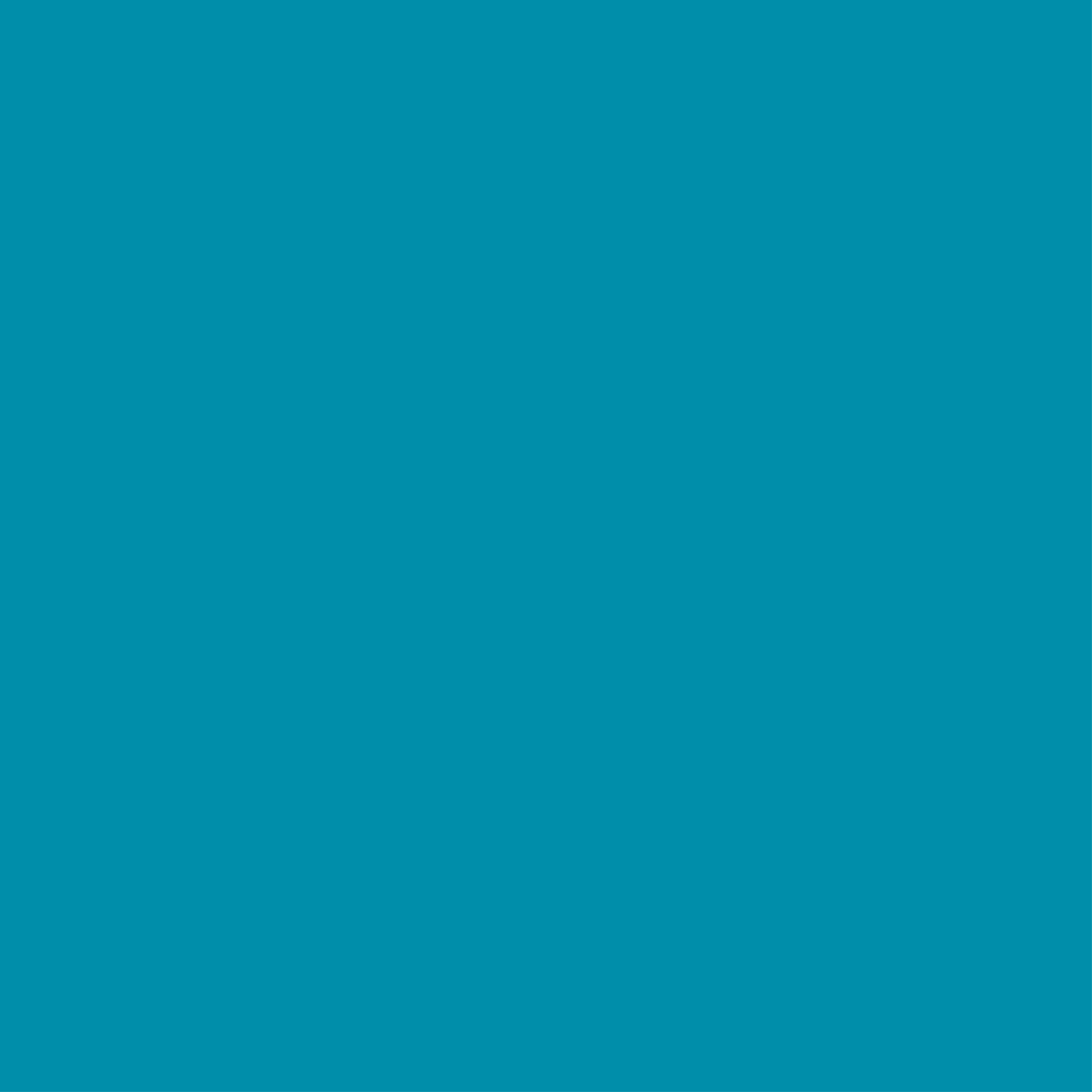 ACME 590 Aqua dark