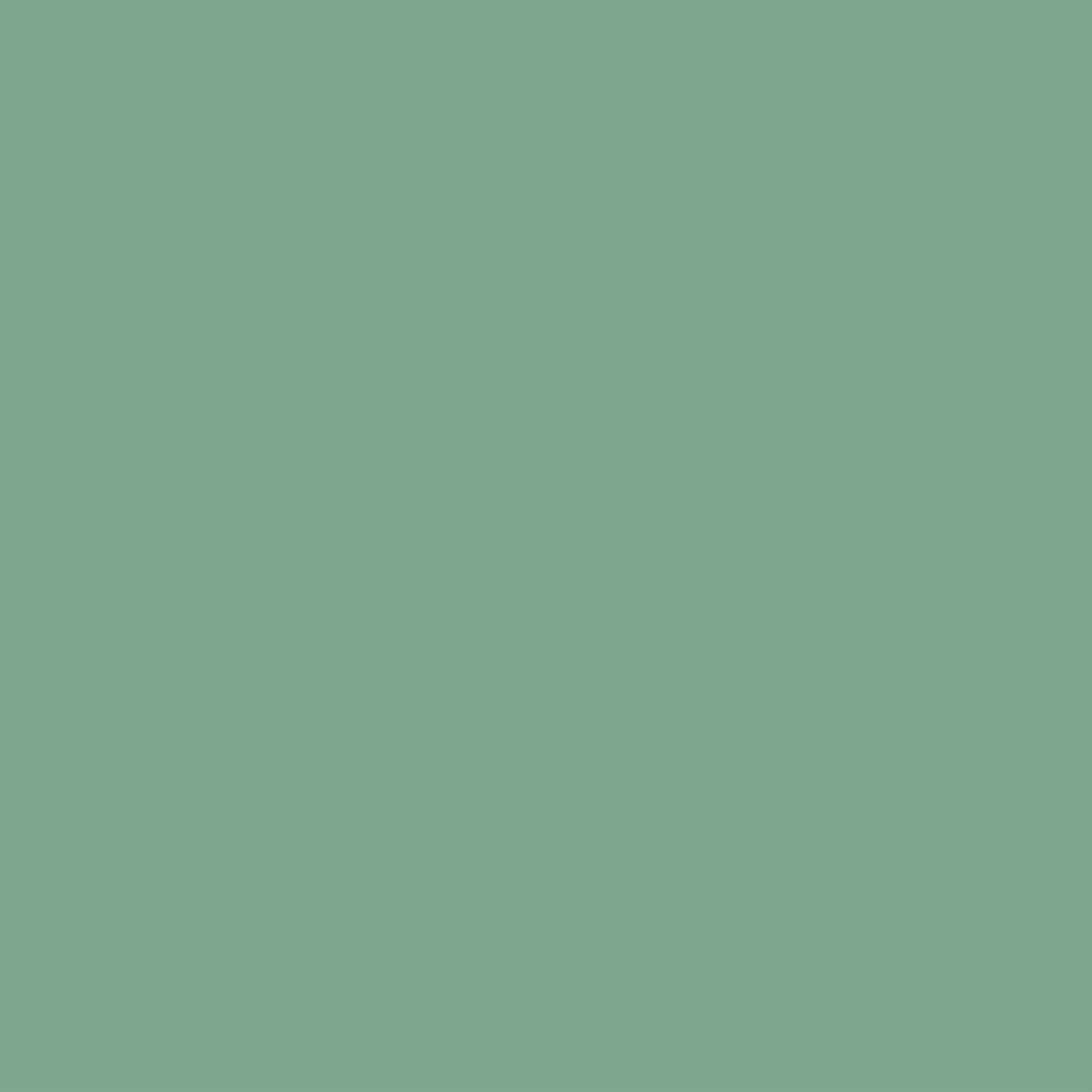 FO-609 Sage