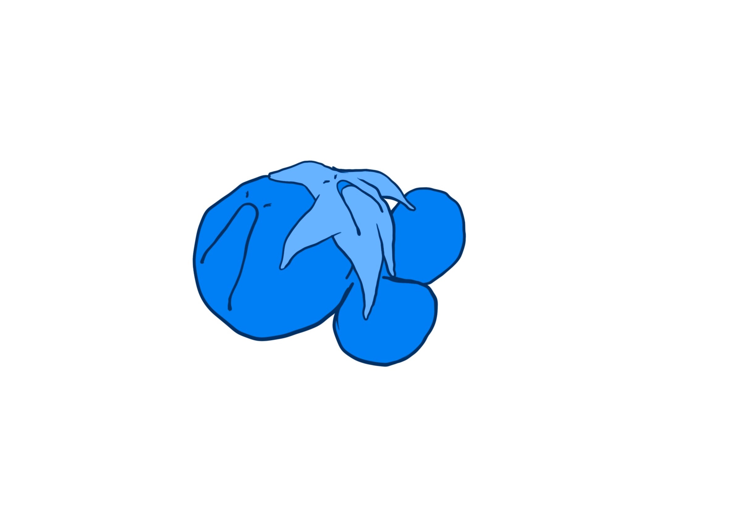 SAD MAD (small)